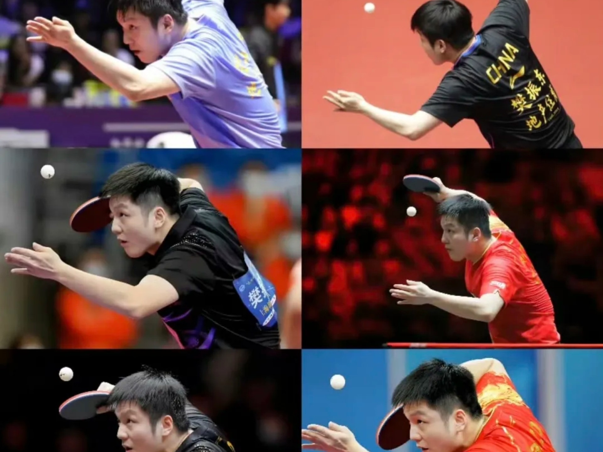 关于波兰乒乓球队鏖战日本乒乓球队,樊振东统治全场的信息 关于波兰乒乓球队鏖战日本乒乓球队,樊振东统治全场的信息