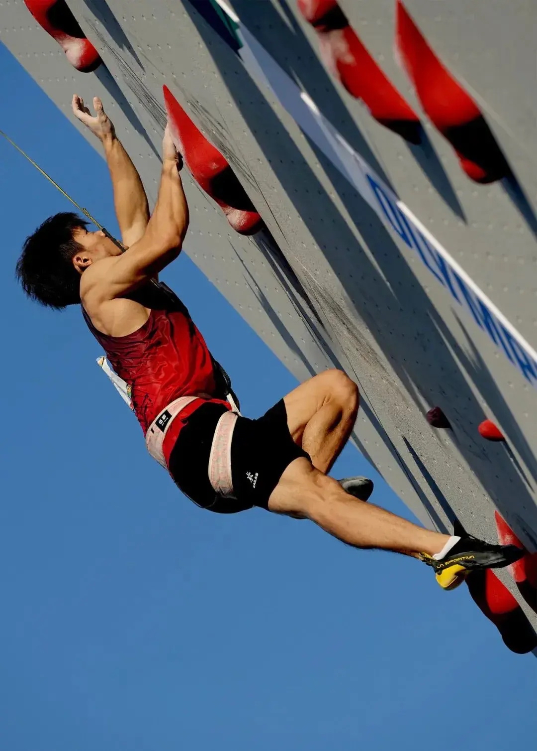 东京奥运会前景可期,球员备战者无比努力的简单介绍 东京奥运会前景可期,球员备战者无比努力的简单介绍