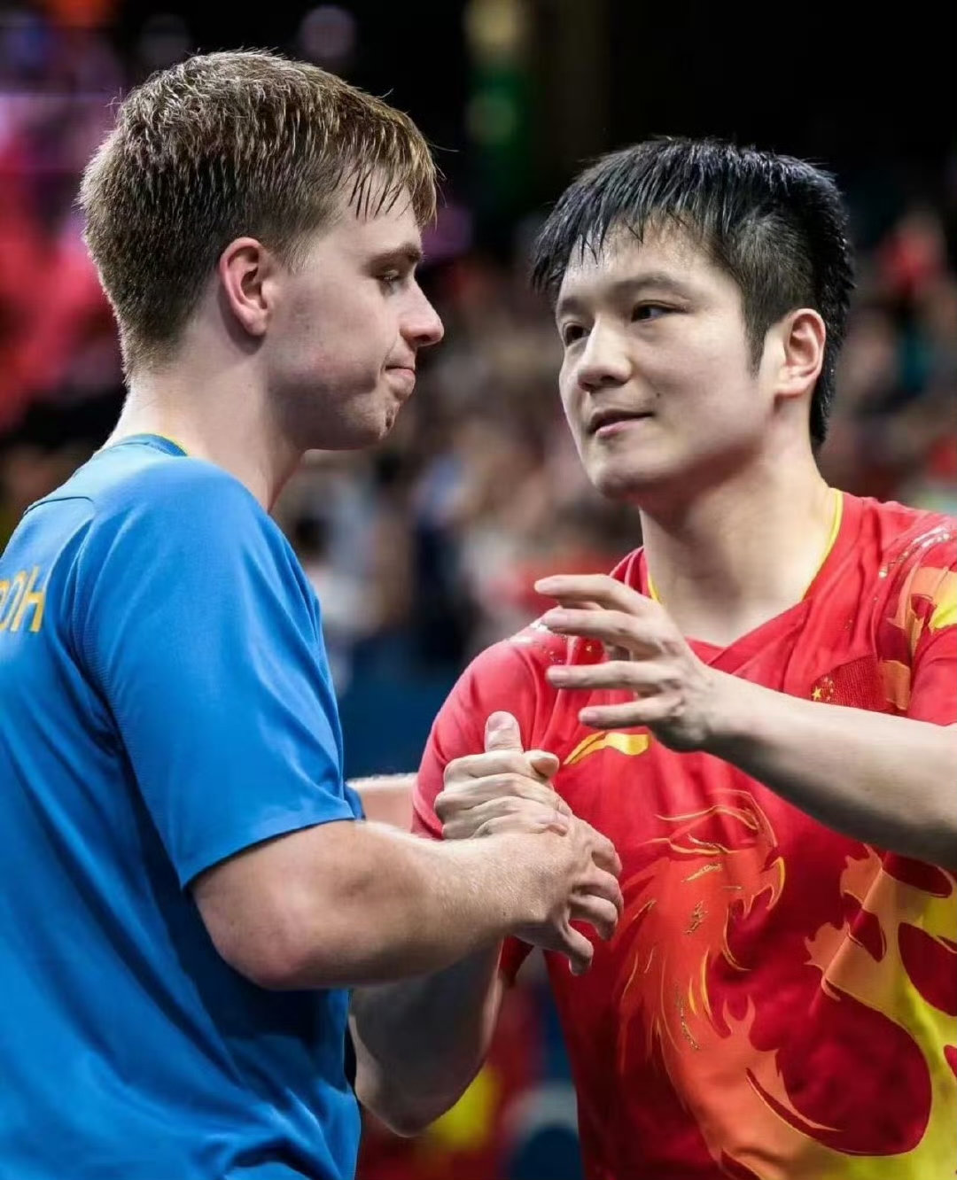 开云官网-关于英国乒乓球队险胜韩国乒乓球队，波尔统治全场的信息