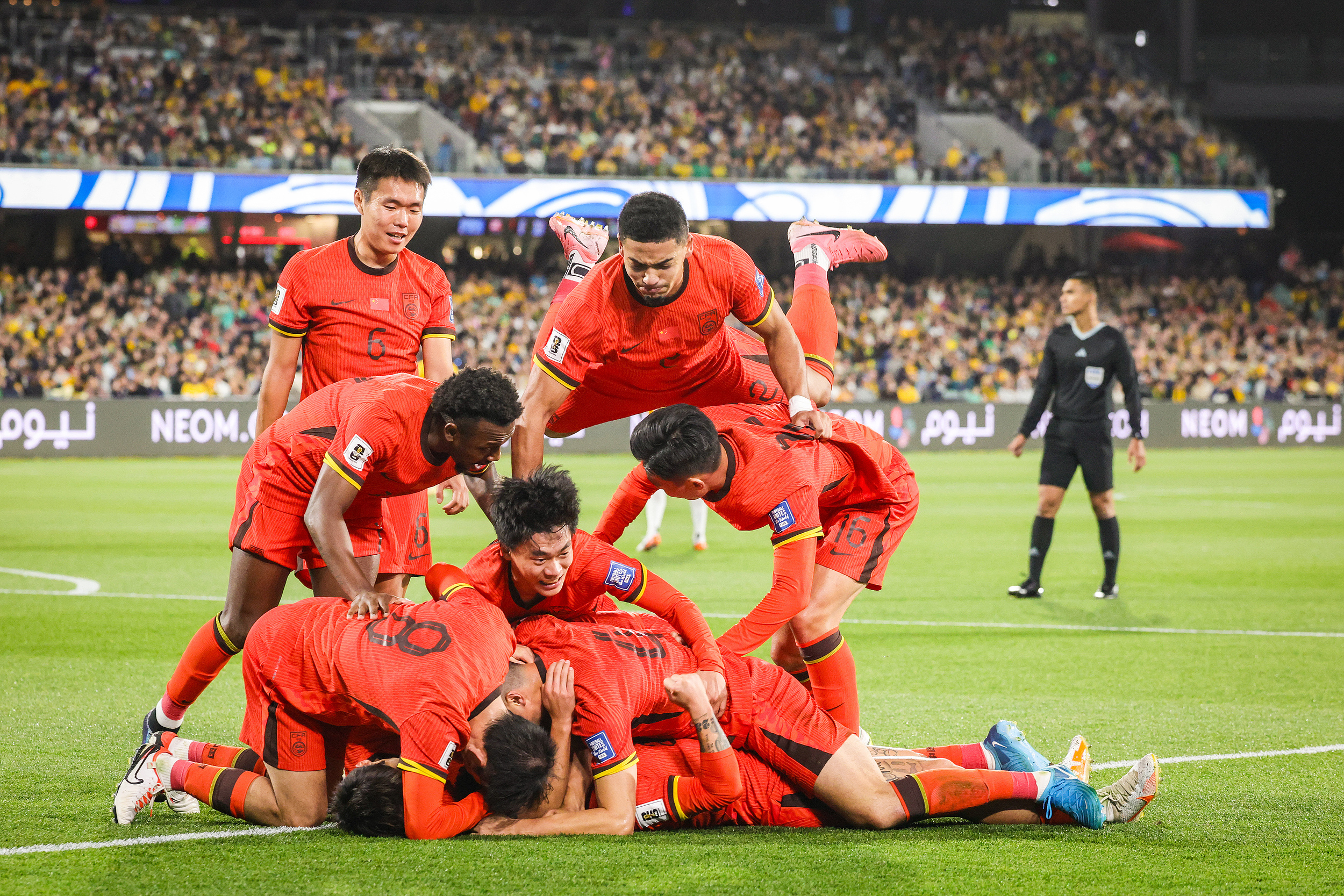 法国队鏖战瑞典队，张继科统治全场