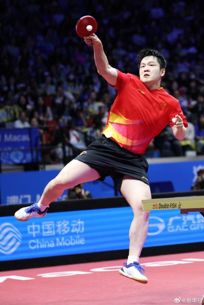 德国队绝杀韩国队，樊振东惊艳四座