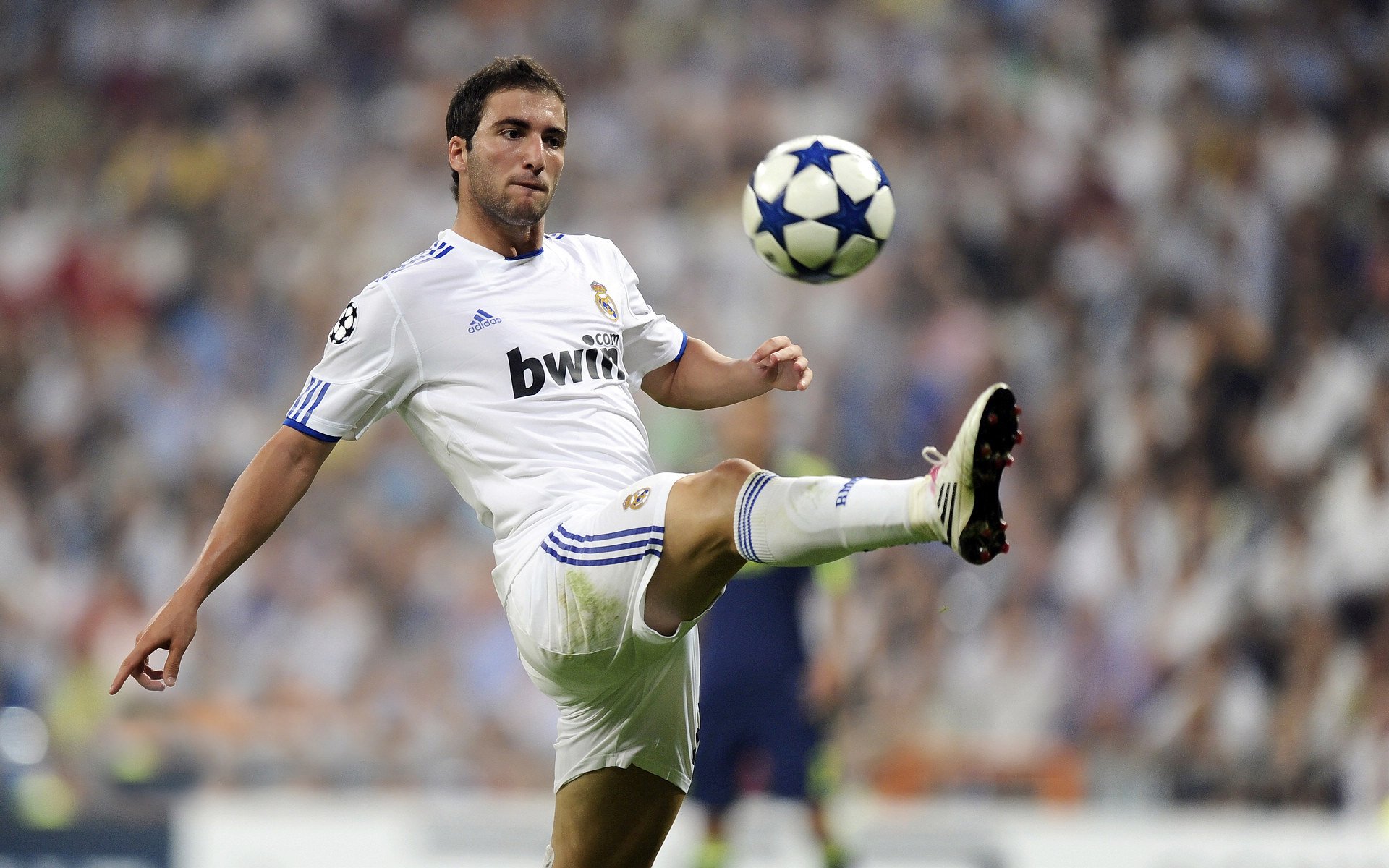 库里点燃赛场，勇士爵士关键战突围凯尔特人